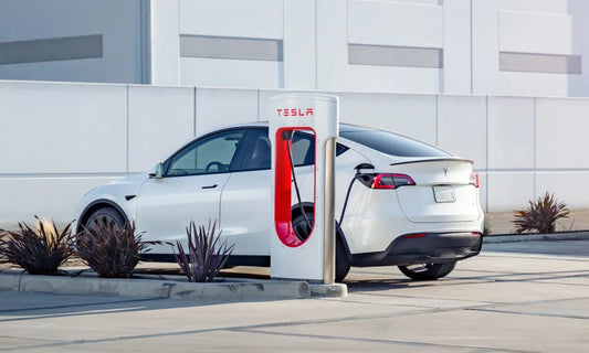 The talk of the town is Tesla - is it the ultimate choice for the long haul?