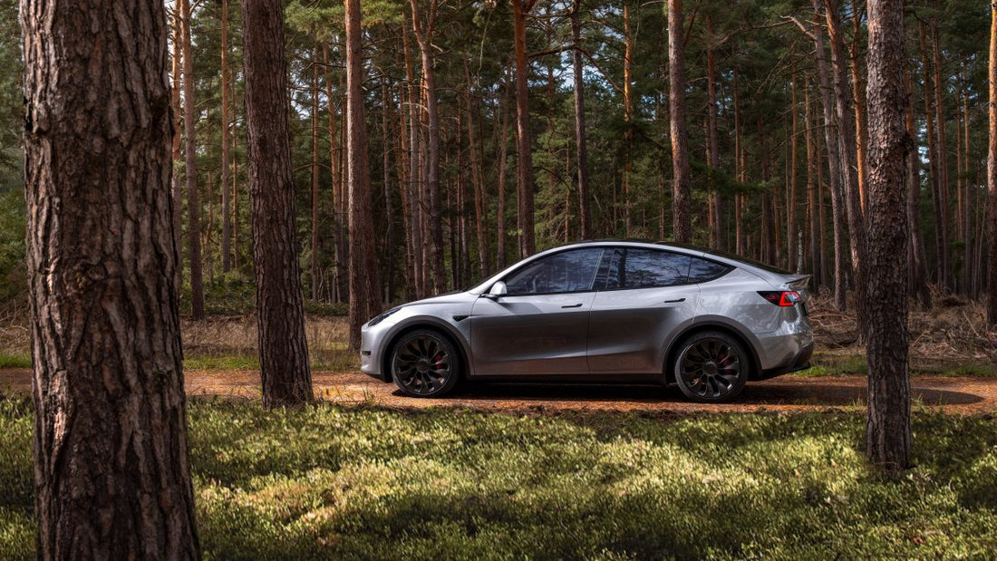 Tesla plans to introduce the Model 3 Quicksilver paint color in North America and expand its availability to the Model Y in Canada.