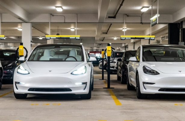 Tesla's Reduced Pricing Impacts Hertz Profits, Falling Short of Profit Projections