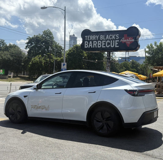 Easter Egg in Tesla Robotaxi