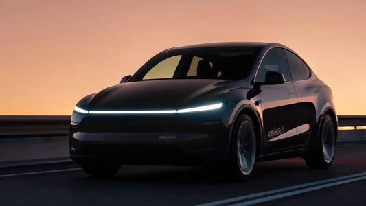 Usage Guidelines for Tesla Robotaxi Service